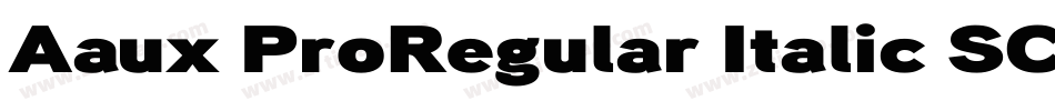 Aaux ProRegular Italic SC字体转换